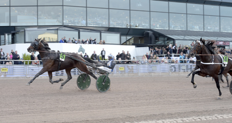 Brother Bill Solvalla (2).jpg