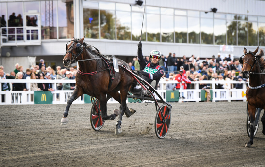 Crown Wise As - Färjestad.jpg