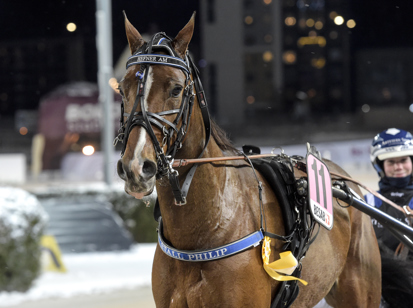 Hefner Am - Solvalla.jpg