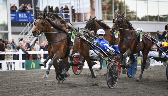 Unico Broline Farjestad.jpg